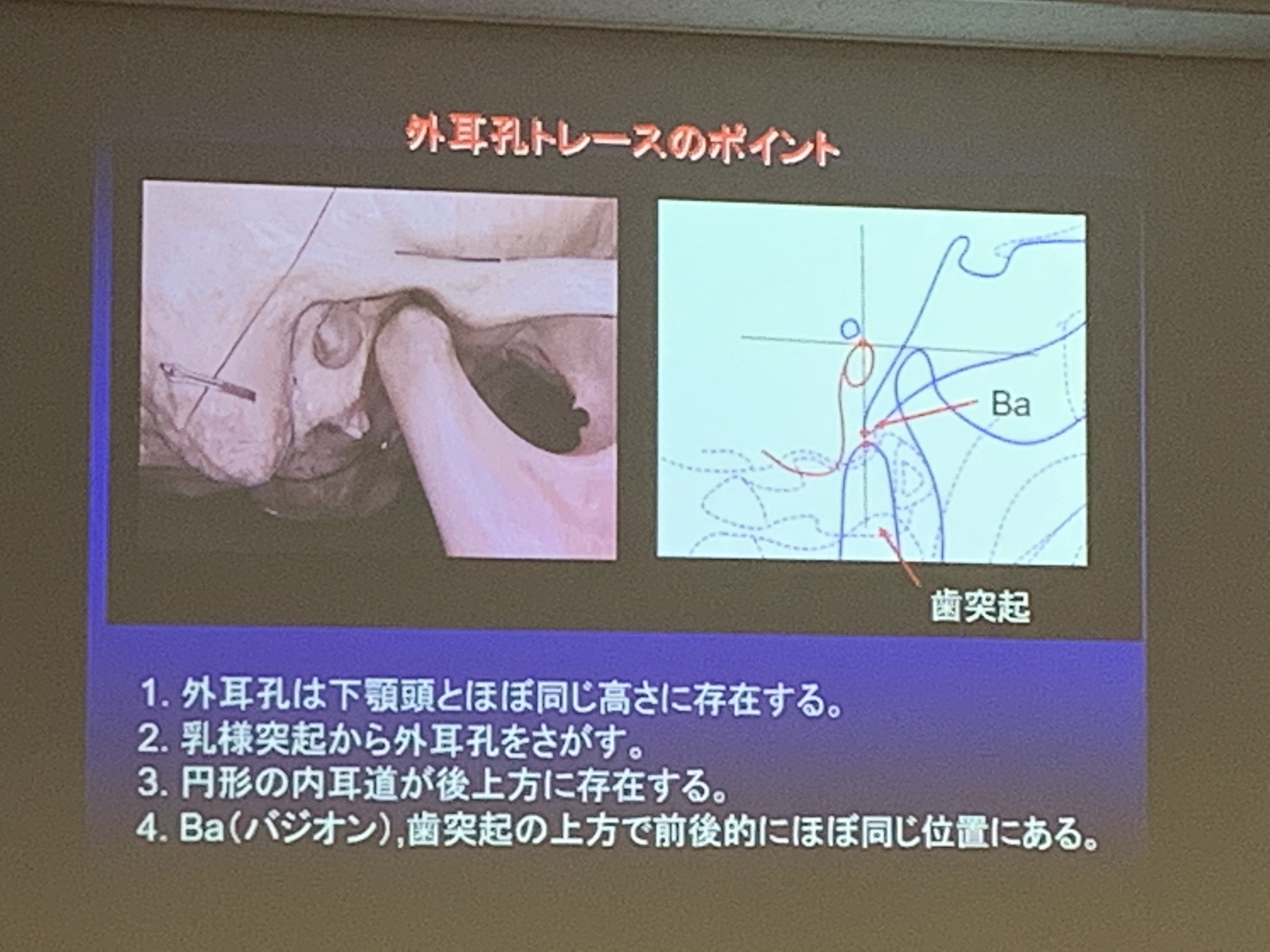 生理 的 機能 と は